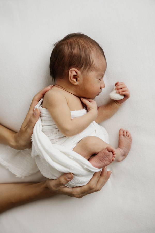 servizio fotografico neonato newborn padova veneto